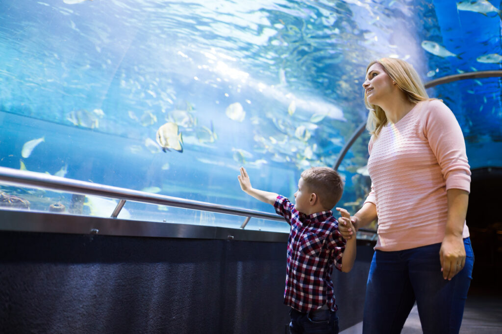 Save Money on Family Memberships