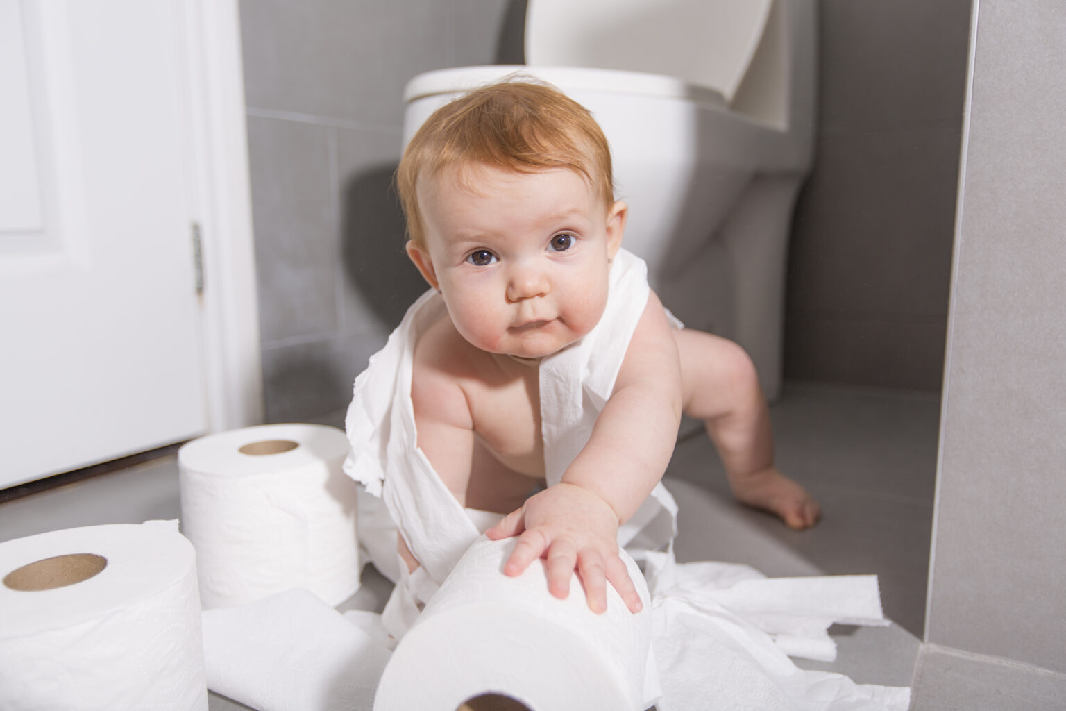 Which Is the Best Value Toilet Paper? Smart Family Money