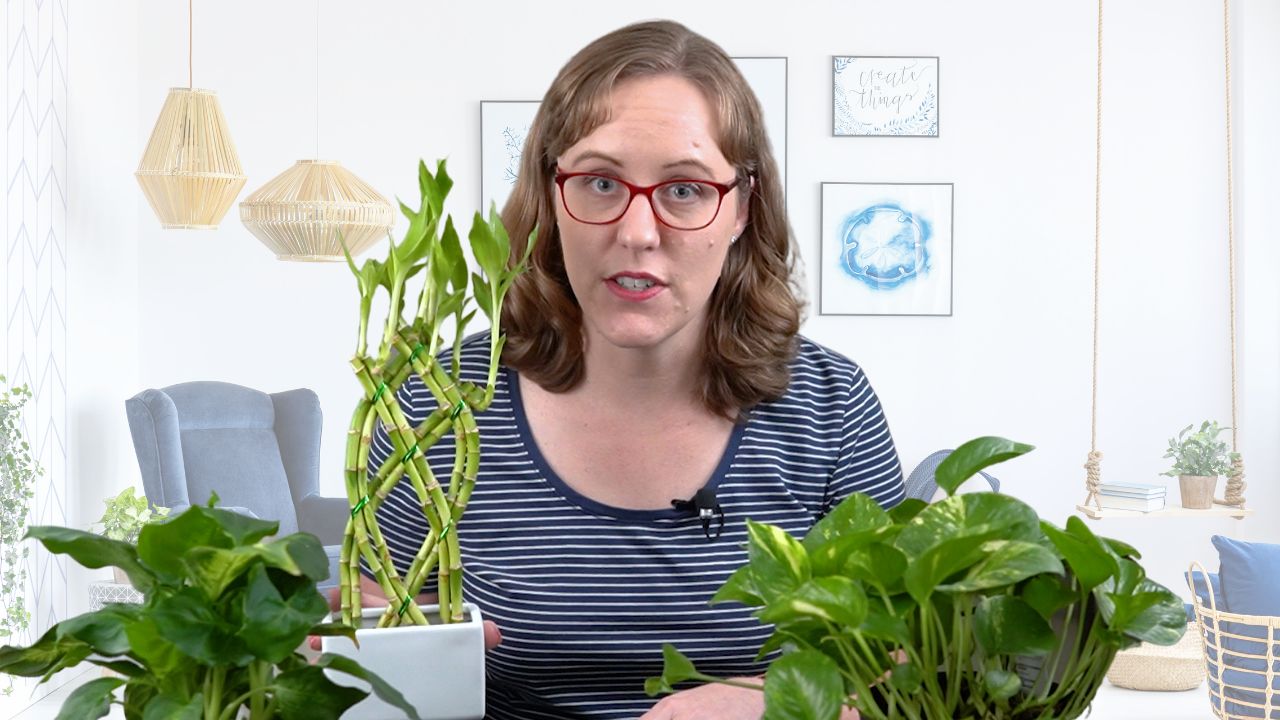 Woman with house plants